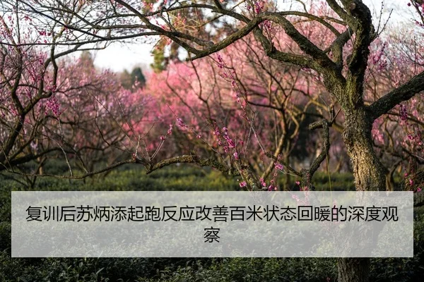 复训后苏炳添起跑反应改善百米状态回暖的深度观察